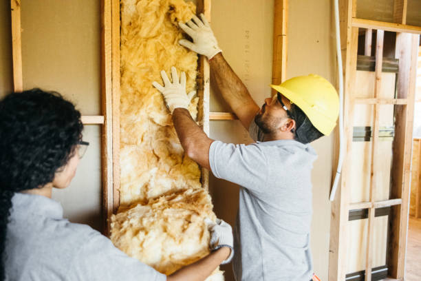 Best Insulation Replacement Services  in North Babylon, NY