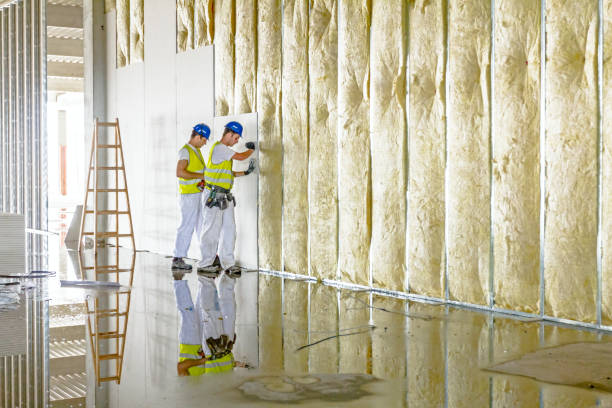 Best Home Insulation Services  in North Babylon, NY